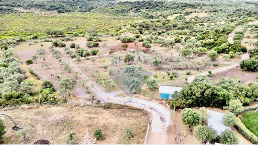 Foto Terreno residenziale a Sassari La Landrigga - Monte Oro di 19755 m²