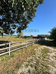 Foto Terreno agricolo in Via dei Boschi, Volta Mantovana di 30000 m²