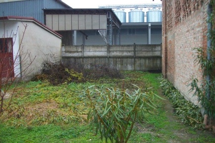 Foto Terreno agricolo a Cornale e Bastida Bastida De' Dossi di 246 m²