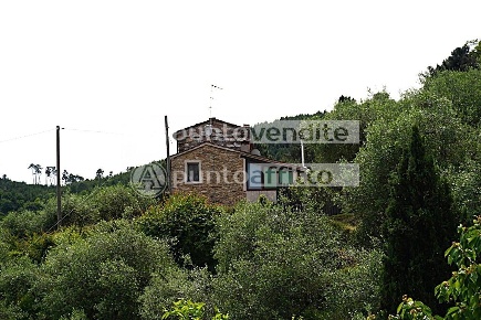 Foto Rustico a Capannori Pieve di Compito - Sant'Andrea di Compito