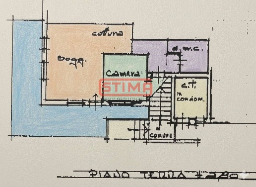 immagine annuncio 11 di 13