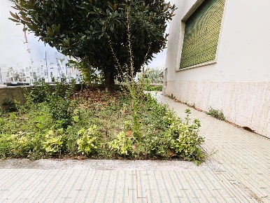 Foto Casa indipendente a Empoli Pretura - Sanzio di 180 m² con 6 locali