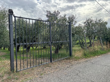 Foto Terreno agricolo a Frascati di 4943 m² in vendita