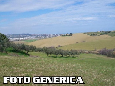 Foto Terreno agricolo a Vecchiano San Martino di 5000 m² in vendita