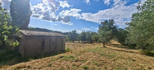 Foto Terreno residenziale a Capannoli San Pietro Belvedere di 6500 m²
