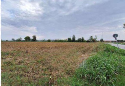 Foto Terreno agricolo in Strada Provinciale, Leno di 22022 m² in vendita