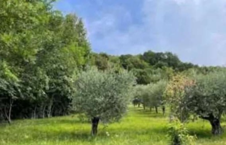 Foto Terreno agricolo in Via Marchetti, Marostica di 8931 m² in vendita