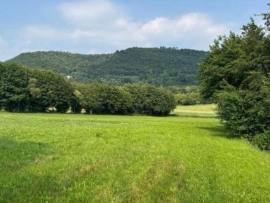 Foto Terreno agricolo in Via Regina Pacis, Castelgomberto di 3502 m²