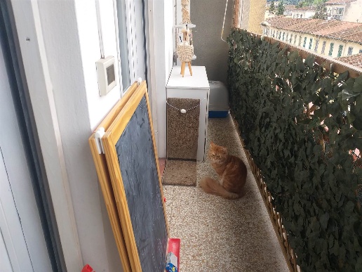 immagine annuncio 12 di 14