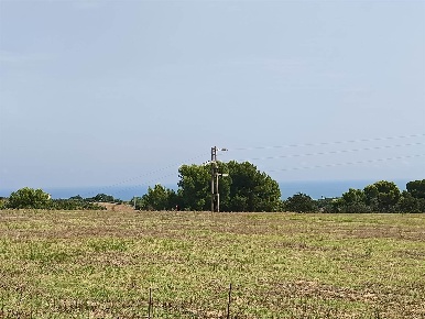 Foto Terreno agricolo a Massignano di 55000 m² in vendita