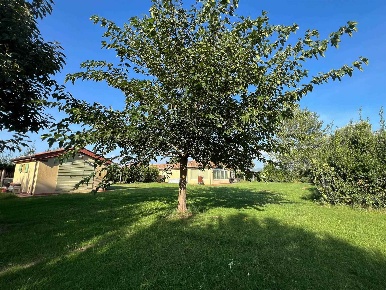 Foto Villa bifamiliare a Castagneto Carducci di 108 m² con 4 locali