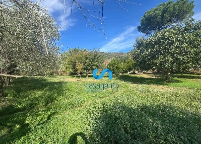 Foto Terreno agricolo a Caserta Mezzano di 3100 m² in vendita