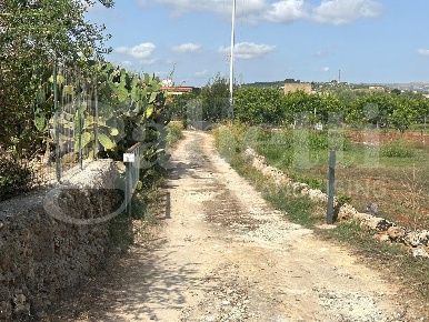 Foto Terreno agricolo in Contrada FALCONARA SNC, Noto di 7500 m² in vendita