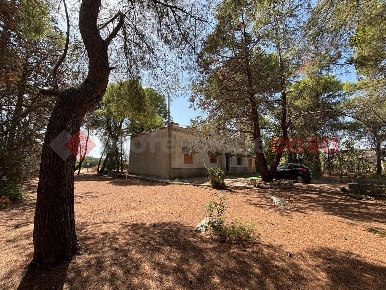 Foto Villa singola in Contrada Papacaniello snc, Sava di 160 m² in vendita