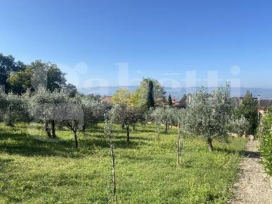 Foto Terreno residenziale in Via DELLE GINESTRE 1, Assisi San Vitale, Viole