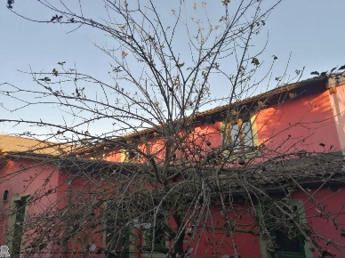 Foto Appartamento a Ferrera Erbognone di 181 m² con 4 locali in vendita