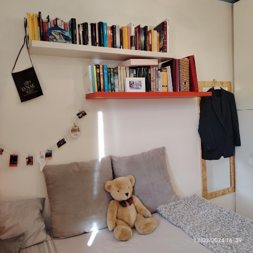 immagine annuncio 13 di 15