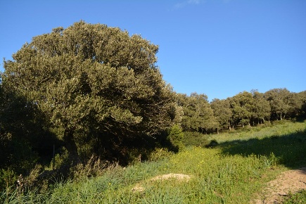 Foto Magazzino a Luogosanto di 65 m² con 2 locali in vendita