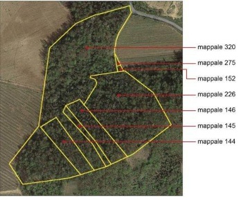 Foto Terreno agricolo a Santa Giuletta di 53969 m² in vendita