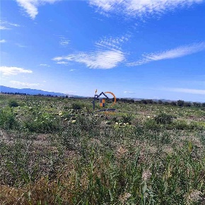 Foto Terreno agricolo in Loc. Tre Ponti, Cassano all'Ionio in vendita