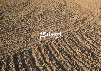 Foto Terreno agricolo in Bragaleo, Cartura di 5653 m² in vendita