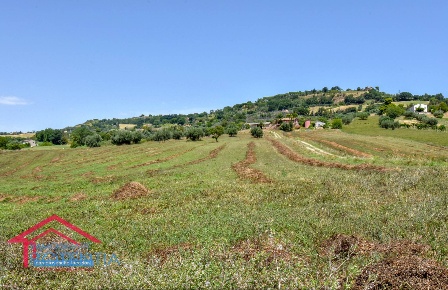 Foto Terreno agricolo in c.da Asola, Potenza Picena in vendita