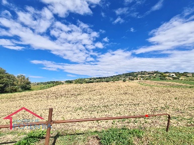 Foto Terreno agricolo in c.da Asola, Potenza Picena in vendita