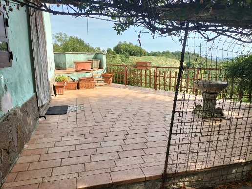 immagine annuncio 1 di 14