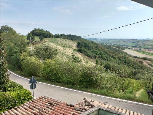 immagine annuncio 4 di 14