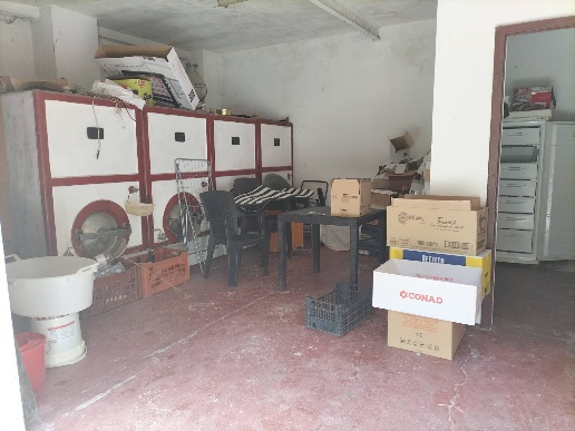 immagine annuncio 13 di 14