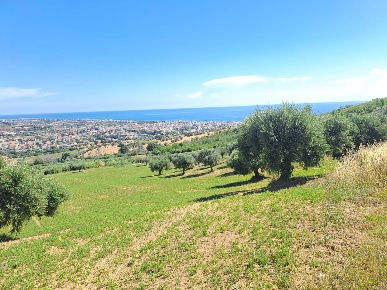 Foto Terreno residenziale in Via Sant'Angelo, Tortoreto Centro di 40000 m²