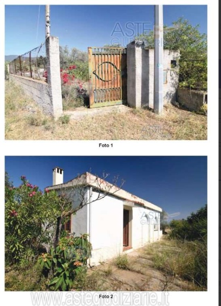 immagine annuncio 5 di 7