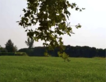 Foto Terreno agricolo in Via Calcara, Sarcedo di 8207 m² in vendita