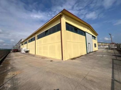 Foto Capannone industriale in Via Afra Decò, Villafranca di Verona