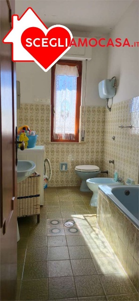 immagine annuncio 6 di 12