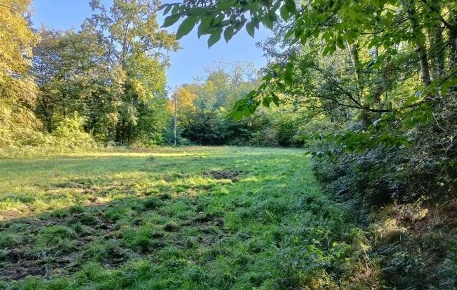 Foto Terreno agricolo in Localita' Maccio 2, Villa Guardia di 4470 m²