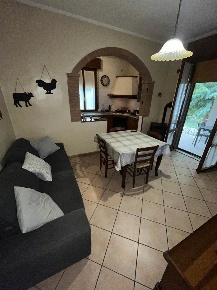 Foto Case semi ndipendenti a Gonzaga di 250 m² con 9 locali in vendita