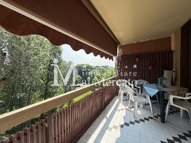 Foto Appartamento a Viareggio Torre del Lago di 35 m² con 1 locali