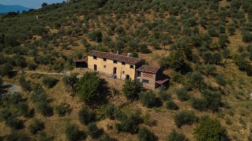 Foto Casale a Pescia Centro di 240 m² con 8 locali in vendita