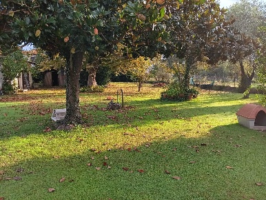 Foto Villa unifamiliare a Massa Ronchi - Poveromo di 180 m² con 5 locali