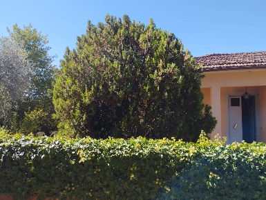 Foto Casa indipendente in Via Mazzana, Montopoli in Val d'Arno di 105 m²