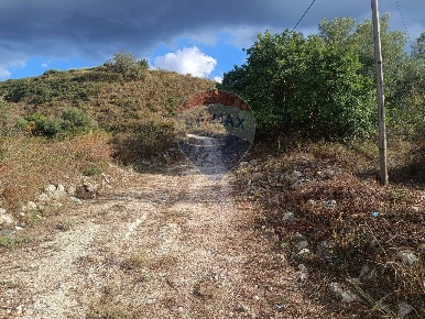 Foto Terreno agricolo in contrada pennino, Sortino di 4000 m² in vendita