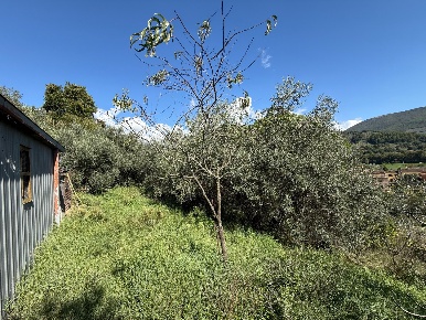 Foto Terreno agricolo in Via Case Basse, Foligno di 1250 m² in vendita