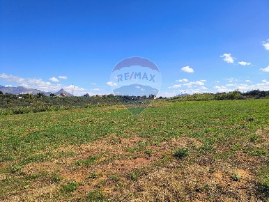 Foto Terreno agricolo in Contrada Piano Rocca, Partinico di 14200 m²