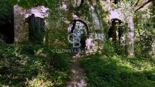 Foto Rustico in Località Candalla, Camaiore Camaiore Paese con 30 locali