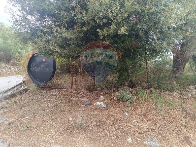Foto Terreno agricolo in contrada Gugni, Sortino di 1000 m² in vendita