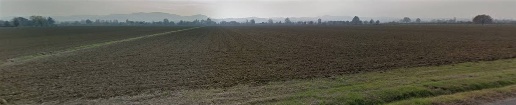 Foto Terreno agricolo in Via Masini, Zola Predosa in vendita
