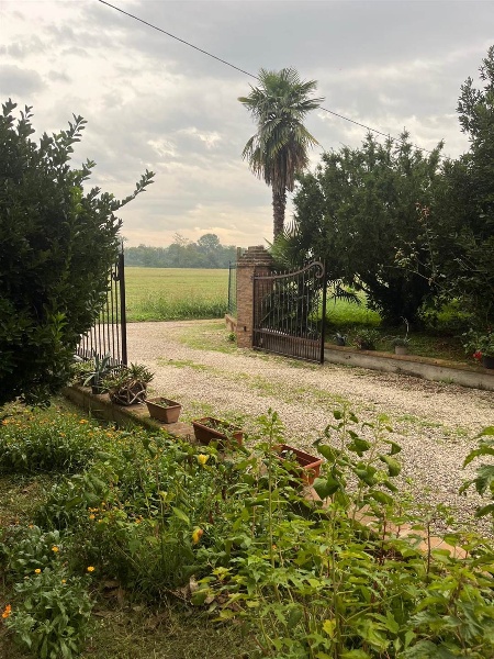 immagine annuncio 7 di 14