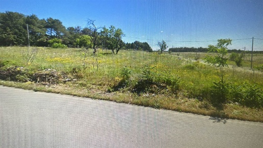 Foto Terreno agricolo a Altamura di 12799 m² in vendita