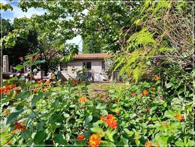 Foto Casa indipendente a Castagneto Carducci Donoratico di 221 m²